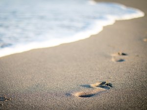 Huit morts lors d'une nouvelle tentative de traversée de la Manche, deux semaines après le pire naufrage de l'année