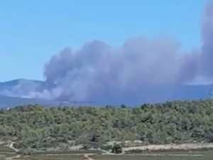 Nouvel incendie dans le sud : une centaine de pompiers mobilisés dans l'Hérault ce dimanche, 8 hectares ravagés par les flammes