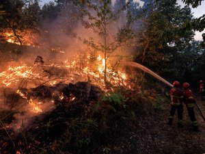 Au moins deux morts, des blessés, dizaines d'évacuations... violents incendies au Portugal, la France se mobilise