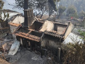 Violents incendies au Portugal : 14 personnes ont été arrêtées suite aux feux de forêt meurtriers