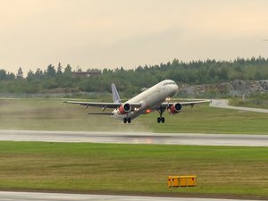 Une souris, sortie du plateau-repas d'une passagère, oblige un avion de ligne à se poser