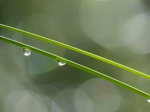 Météo : omniprésente en ce début d'automne, la pluie va-t-elle durablement s'installer à Rodez ?