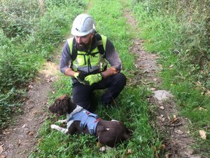 Des chiens renifleurs viennent traquer les fuites d'eau en Aveyron