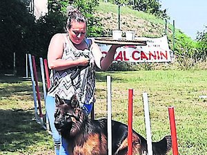 Semaine nationale du chien : des rencontres avec maîtres éleveurs et des animations pour se familiariser avec son animal en Aveyron