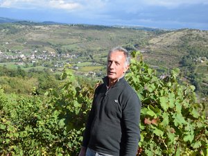 Vendanges en Aveyron : après le blanc, on passe au rouge à Marcillac