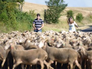 Marché des pays de l'Aveyron à Paris : à Verrières, la fromagerie des Cabasses, entre innovation et tradition, produit des pérails d'exception