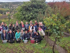 Il n'y a pas que du marcillac dans les vignes d'Aveyron : des vendanges conviviales sur les coteaux de Macarou