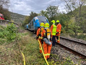 Occitanie : le TER percute un arbre tombé au milieu de la voie, 67 passagers secoués