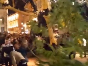 VIDÉO. Spectacle des Machines à Toulouse : une branche tombe sur le public au passage de l'araignée Ariane, qui s'emmêle les pattes dans un arbre