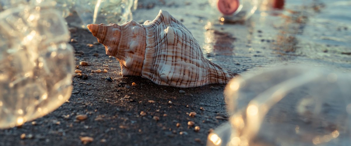 Sur la façade atlantique, les petites fourmis du surcyclage du plastique voudraient sauver l'océan