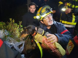 La belle histoire du jour : une incroyable intervention de 72 heures pour secourir un chien coincé dans une cavité