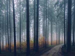 Un enfant de 6 ans gravement blessé en s'accrochant à la voiture de son père... qui voulait l'abandonner dans les bois