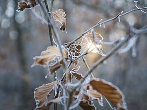 Gros coup de froid et de la neige en montagne : un changement radical de la météo attendu la semaine prochaine, voici les prévisions