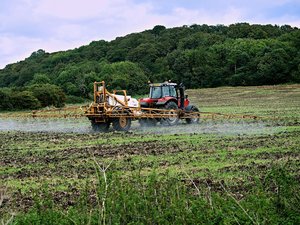 Quels sont ces nouveaux pesticides pointés du doigt dans les cas du cancer de la prostate, le plus fréquent chez l'homme ?