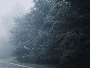 Prudence si vous prenez la route ce dimanche matin : Météo France annonce brume et brouillard en Aveyron