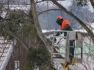 Dramatiques travaux d'élagage : une ligne électrique de 30 000 volts se rompt sur deux hommes dans une nacelle et les brûle