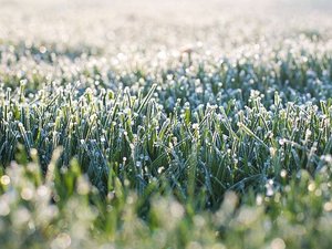 CARTES. Météo : des minimales à 1°C ce mercredi, dans quelles communes fait-il le plus frais en Aveyron ?