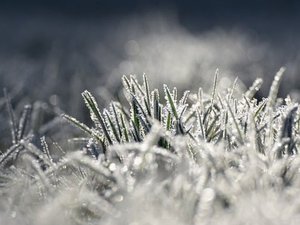 Météo : le froid a sévi en Aveyron ce mercredi matin, des températures négatives enregistrées dans le département