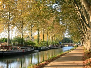 Un homme décède après une chute dans le canal du midi à Toulouse, il souffrait de cécité