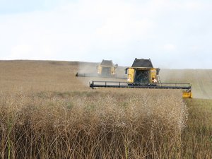 Mercosur : on vous résume le projet d'accord commercial entre l'Union européenne et les pays sud-américains qui fait trembler les agriculteurs