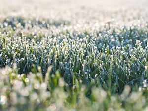 Météo : le thermomètre a affiché - 6,2°C en Aveyron ce vendredi matin, où a-t-il fait le plus froid ?