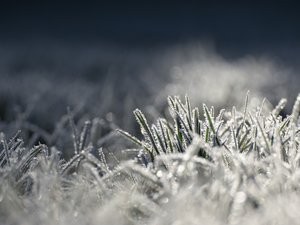 Météo : gelées matinales, verglas, - 4,5 °C enregistrés ce samedi matin en Aveyron, dans quelles communes fait-il le plus froid