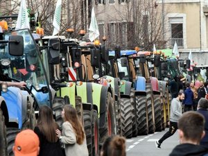 Colère des agriculteurs : 