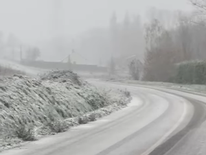 MÉTÉO. Tempête Caetano : arbres arrachés, fortes chutes de neige, les images d'une tempête hivernale sur la France