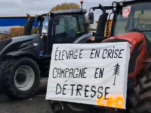 VIDEO - Colère des agriculteurs. 