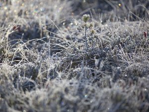 Météo : - 6°C, - 5,5°C, - 5°C... gelées généralisées en Aveyron ce samedi matin, voici les communes les plus touchées par le froid