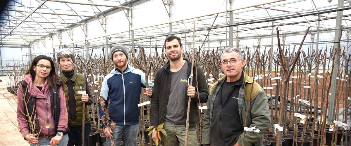 Espalion. Sainte-Catherine met l’EARL Rozière en effervescence