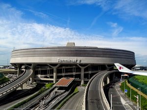 Amalka est introuvable : depuis le 19 novembre l'aéroport de Paris-Charles de Gaulle est à la recherche de cette chienne échappée d'une soute à bagages