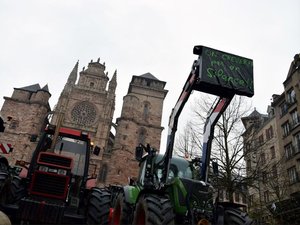 Colère des agriculteurs : tracteurs et vaches dans Rodez, la FDSEA et les JA envisagent une opération coup de poing ce mercredi