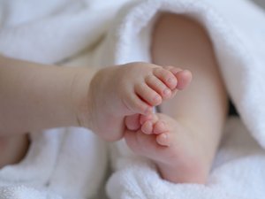 Il repère une forme dans l'un de ses plans d'eau : le propriétaire du terrain découvre le cadavre d'un bébé