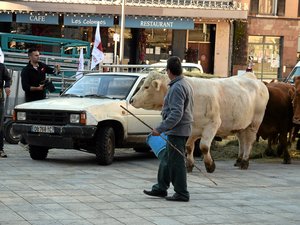 Colère des agriculteurs : 