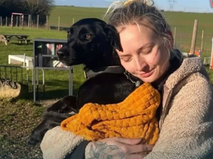 VIDÉO. Chienne recherchée à l'aéroport Charles-de-Gaulle depuis 9 jours : les émouvantes retrouvailles entre Amalka et sa maîtresse