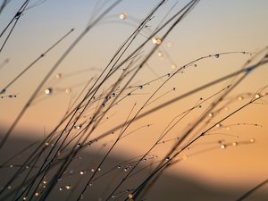 Météo : de - 1°C à + 8,5°C en Aveyron, quelle a été la température minimale dans votre commune, ce vendredi ?