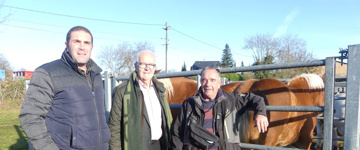 Bozouls. Vif succès de la 136e foire aux chevaux