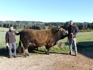 Salon de l'agriculture : Emilien et son taureau de race aubrac Romarin sont sélectionnés pour la première fois à Paris