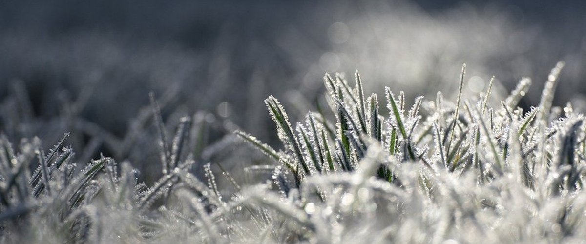 CARTE. Vers de nouvelles minimales négatives en Aveyron ? Ce que prévoit Météo France, mercredi matin