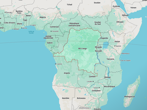 Près de 150 morts en deux semaines : que sait-on sur cette maladie non identifiée qui se propage en Afrique, et touche les femmes et les enfants ?