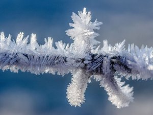 Nouvelles gelées en Aveyron ce jeudi, il a fait jusqu'à - 6°C : quelles ont été les communes les plus touchées par le froid ?