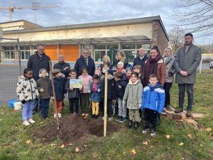 Pourquoi les élèves ont-ils planté un érable dans la cour de l'école Foch de Rodez, ce jeudi 5, décembre ?