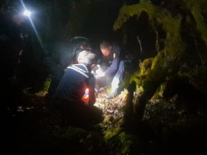 Une jeune fille se perd en forêt : les gendarmes la retrouvent à temps de nuit, malgré le brouillard et des températures proches de 0 °C