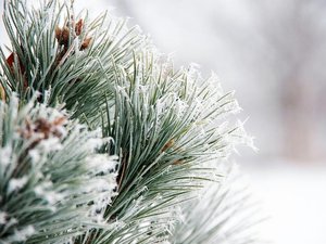 Fin de l'épisode de neige mais les températures chutent jusqu'à - 5 °C : ce que la météo vous réserve en Aveyron cette semaine