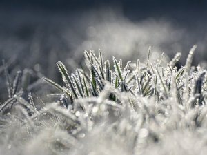 CARTE. Météo : de nouvelles gelées prévues en Aveyron ce mardi matin avec jusqu'à - 6/-8 °C, où fera-t-il le plus froid ?