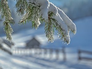 Météo : fin de la vigilance orange neige, 42 départements maintenus en jaune jusqu'à mardi