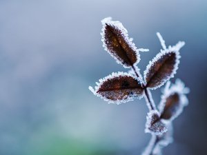 CARTE. Météo : vigilance jaune activée dans sept départements d'Occitanie, à quoi s'attendre ce mardi ?