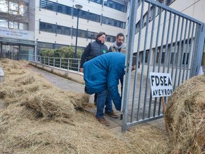 Colère des agriculteurs : PAC, Mercosur, attaques de loups et vautours, la FDSEA et les JA de l'Aveyron se font (à nouveau) entendre