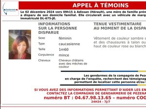 "Toutes les hypothèses sont possibles" : toujours sans nouvelles de Thérésa, une mère de famille disparue au volant de sa voiture depuis le 2 décembre